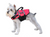 Zippy Paws Life Jacket Medium