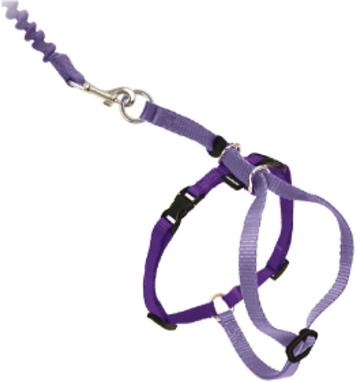 Premier Medium Come With Me Kitty Purple Harness