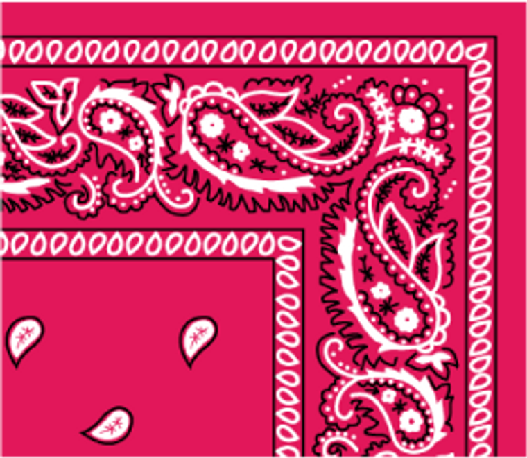 Bandana Paisley Hot Pink