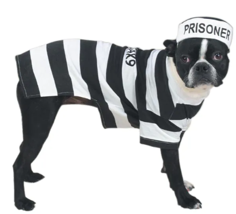 Prison Pooch Costume Extra Small