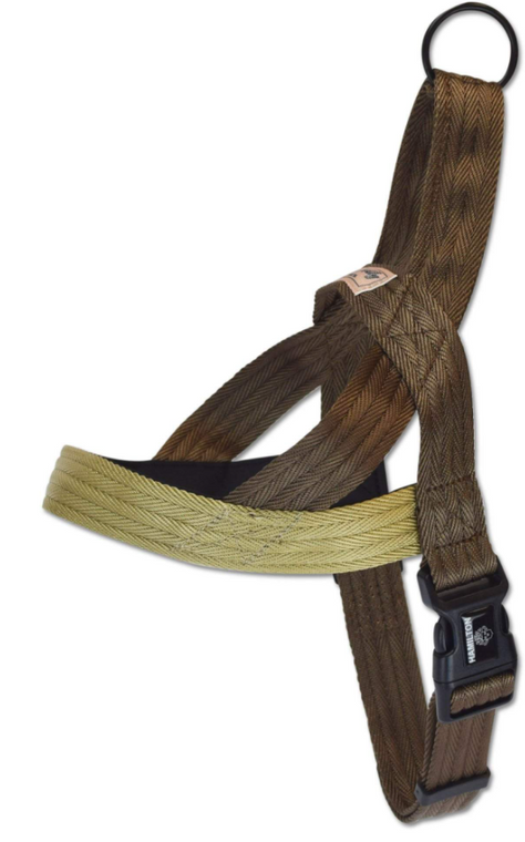 Hamilton Harness Norwegian Woodland Brown & Gold 3/4 23-30"