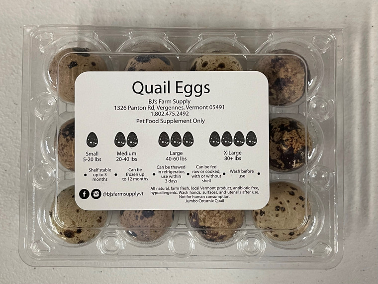 Fresh Quail Eggs One Dozen