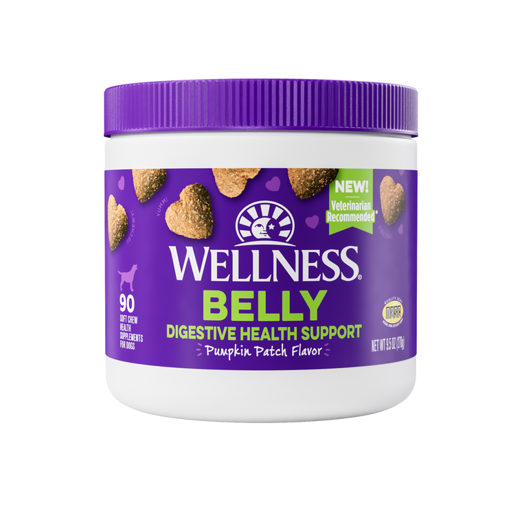 Wellness Supplement Digestive 90 count Pet Food Warehouse