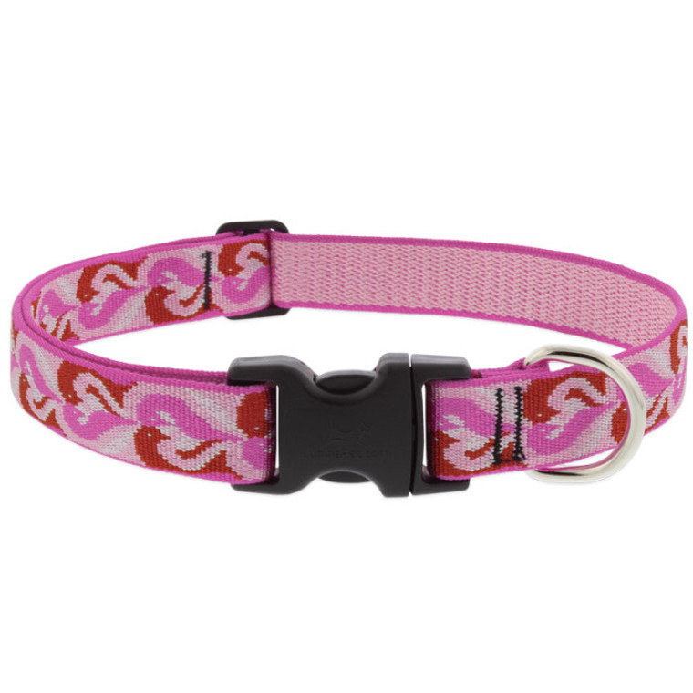 Lupine Collar Lovebirds 1/2" 8-12