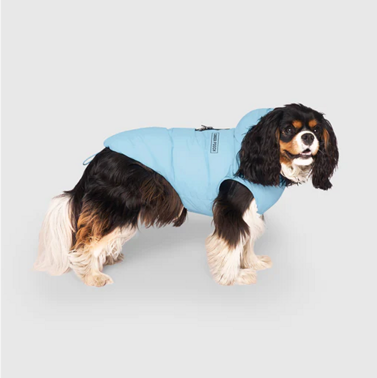 Canada Pooch Waterproof Puffer Ice Blue size 20+