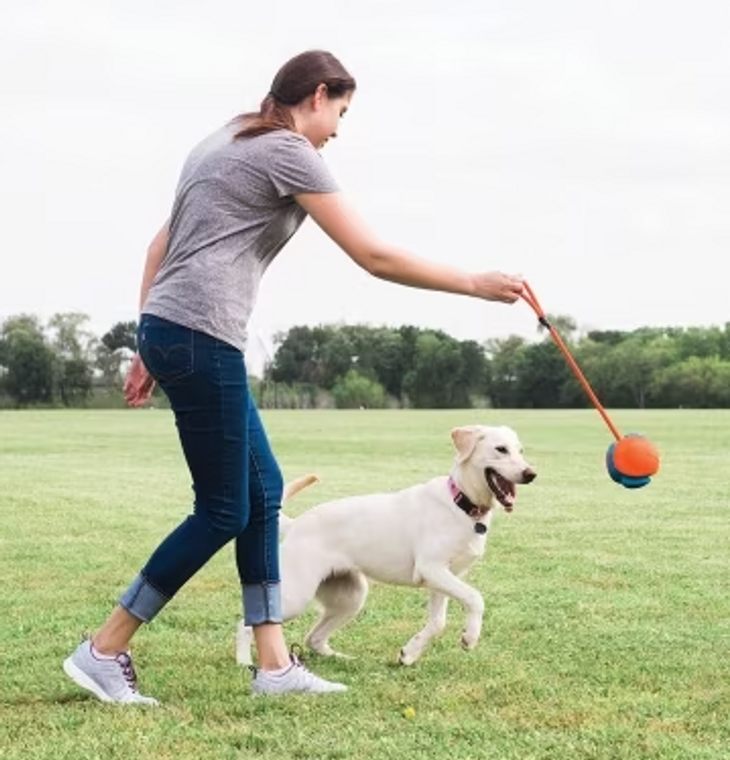 Chuckit Rope Fetch