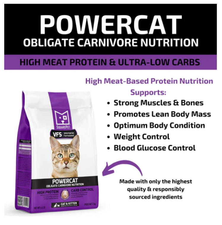 Square Pet VPS PowerCat Turkey & Chicken Cat Food Dry Sample