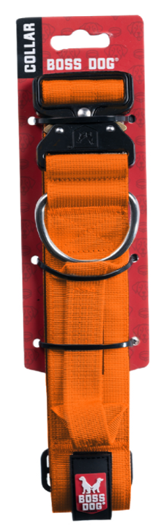 Boss Dog Tactical Dog Collar 13-16 Orange