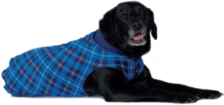 Gold Paw Double Fleece Blue Plaid & Navy Size 12