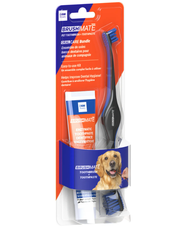 Keen Paw Ready Brushing Bundle Toothbrush Blue w/ Toothpaste Banana Mint