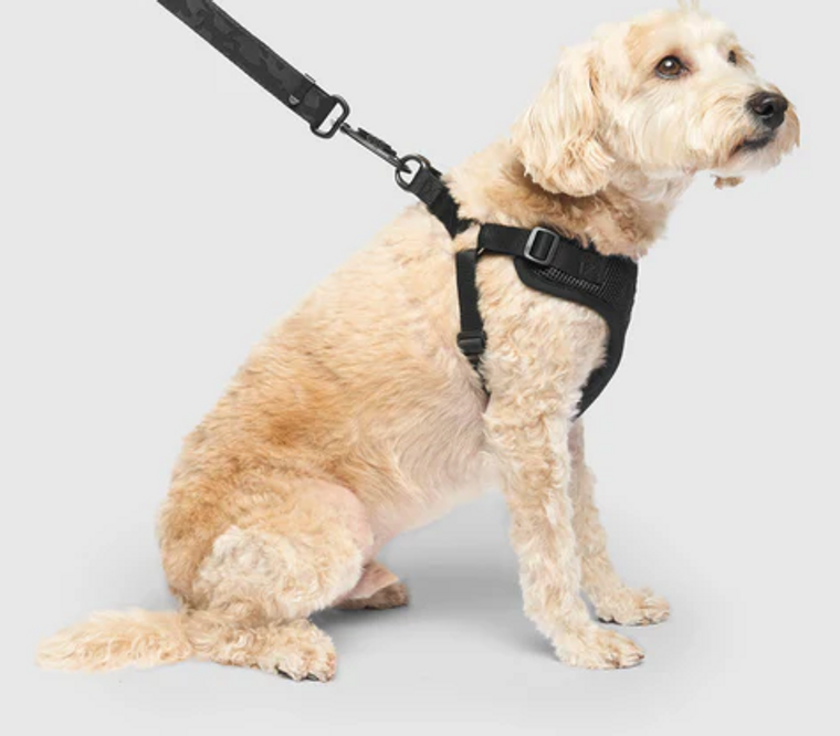 Canada Pooch Easy On Step-In Harness Medium Black