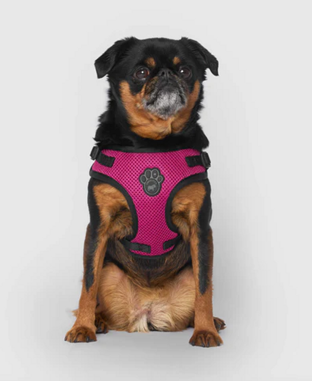 Canada Pooch Easy On Step-In Harness Small Plum