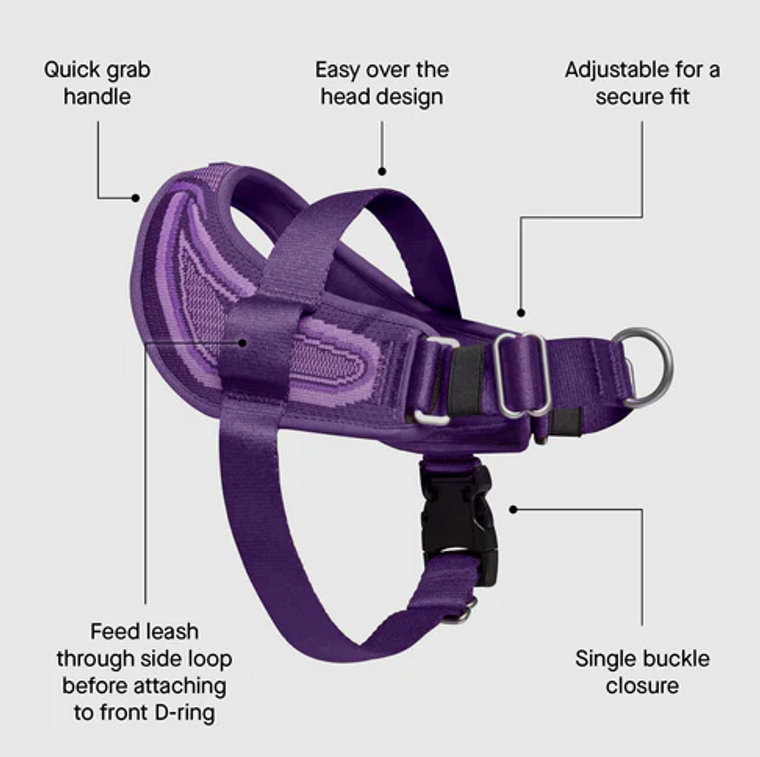 Canada Pooch Re-Direct Harness Extra Large Purple/ Lavender