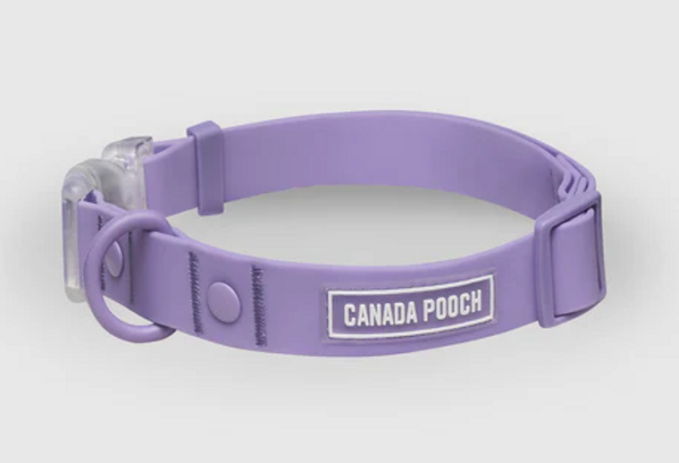 Canada Pooch Waterproof Collar Medium Lavender