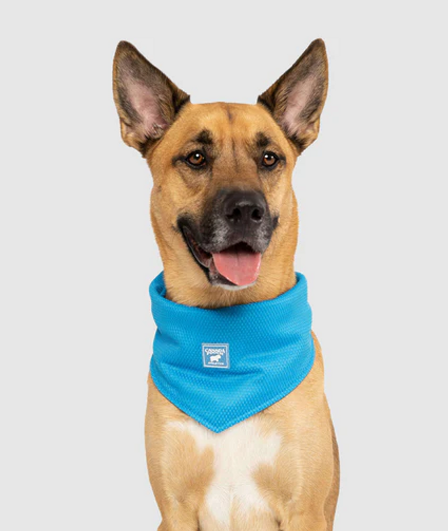 Canada Pooch Chill Seeker Cooling Bandana Medium Blue
