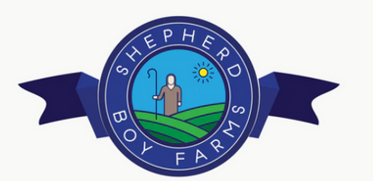 Shepherd Boy Farm Freeze-Dried Diet Beef Sample
