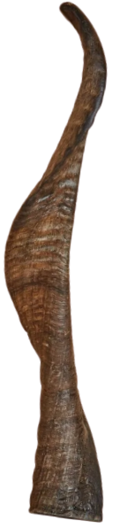 Canophera Dog Chew Sheep Horn Extra Large