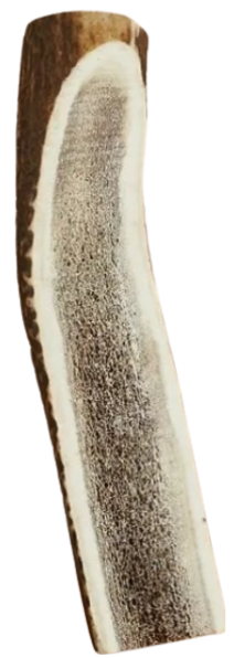 Canophera Dog Chew Red Deer Antler Split Large
