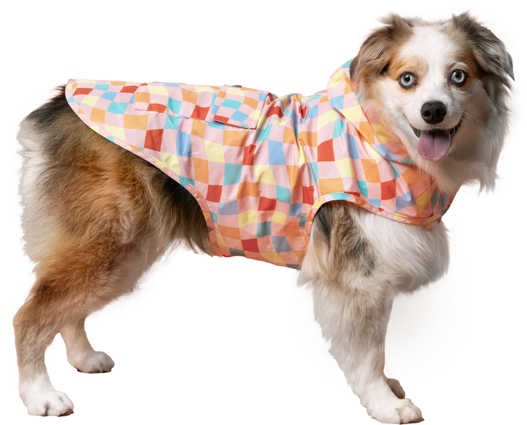 Canada Pooch Pick Me Poncho Warped Checker Size 08