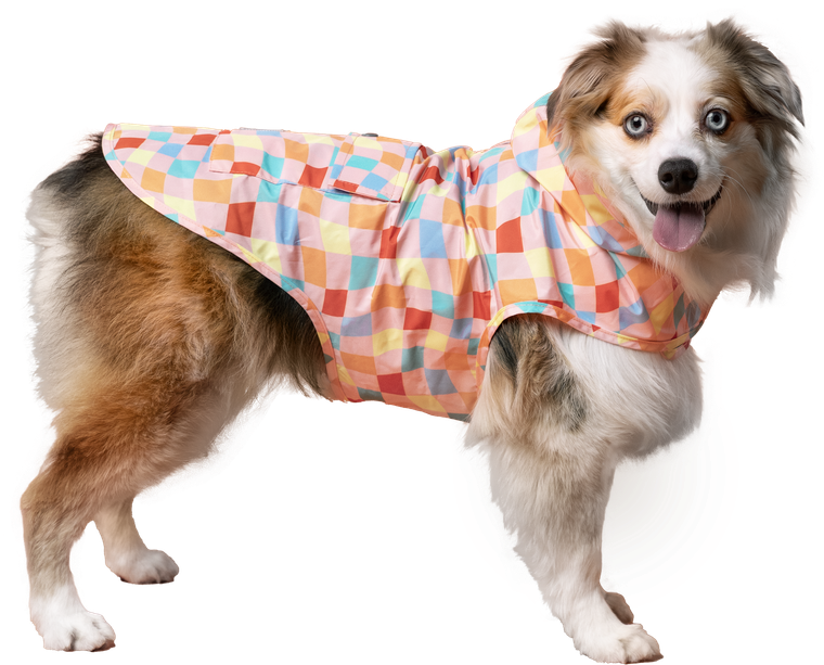 Canada Pooch Pick Me Poncho Warped Checker Size 22