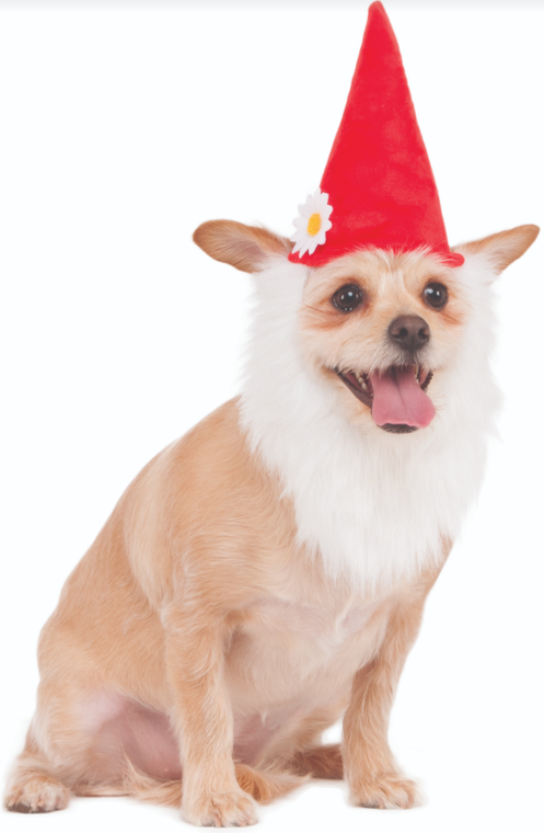 Ruby Slippers Garden Gnome Hat with Beard Pet Costume Small Medium