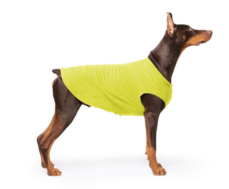 Gold Paw Fleece Avocado Size 24