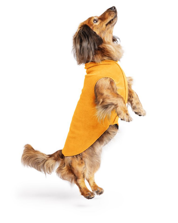 Gold Paw Fleece Cheddar Size 12