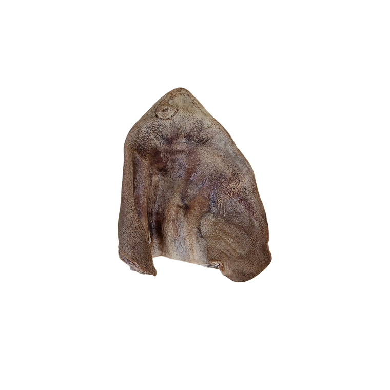 Momentum Carnivore Nutrition Pig Ear (Clean) Chew