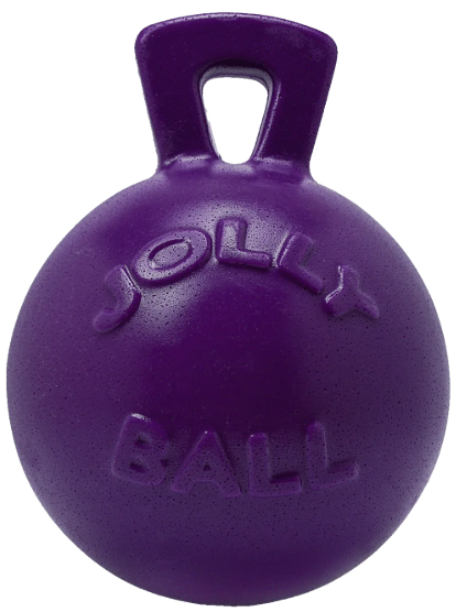 6" Jolly Pets Tug N Toss Purple Dog Toy