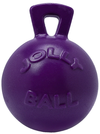 10" Jolly Pets Tug N Toss Purple Dog Toy
