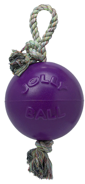 6" Jolly Pets Romp-n-Roll Purple Dog Toy