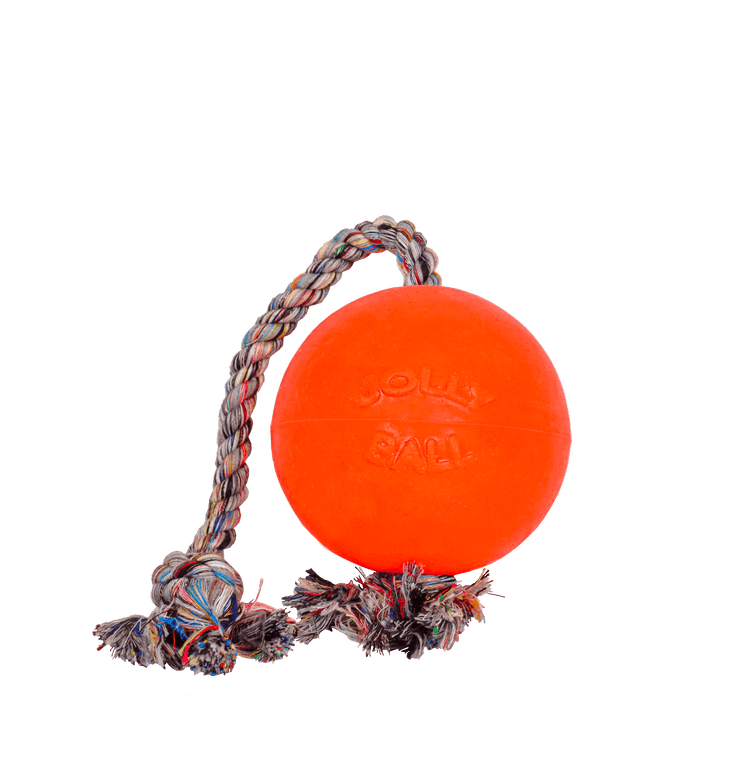 4.5" Jolly Pets Romp-n-Roll Orange Dog Toy
