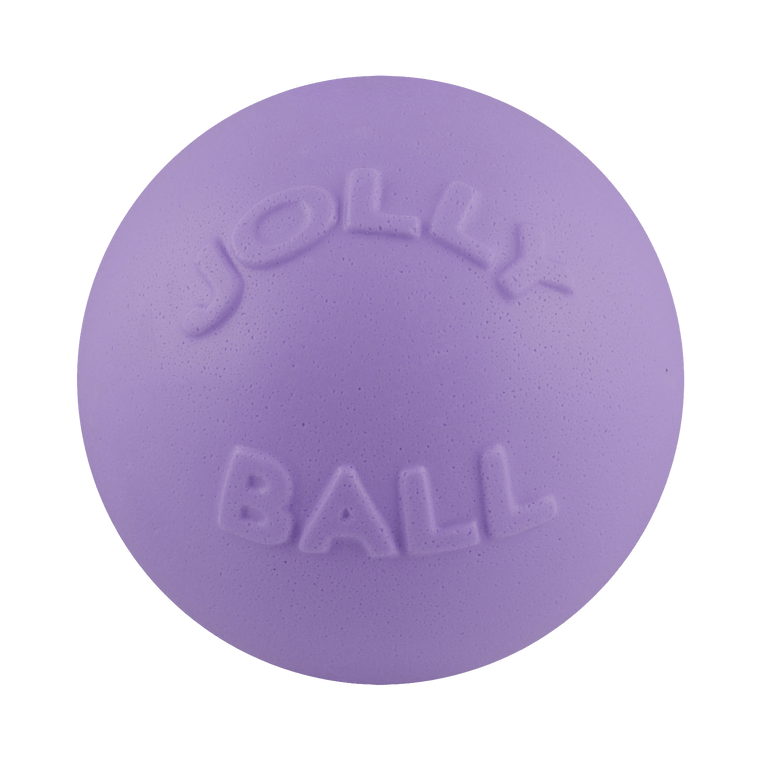 8" Jolly Pets Bounce-n-Play Light Purple Dog Toy