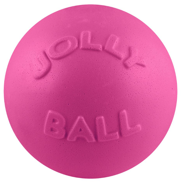 4.5" Jolly Pets Bounce-n-Play Pink Dog Toy