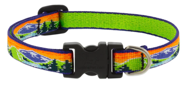 Lupine Collar 1/2in High Country 10-16