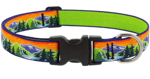 Lupine Collar 1in High Country 12-20