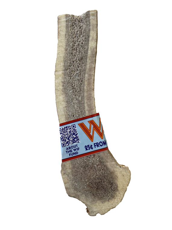 WIF Natural Drop Split Elk Antler Small