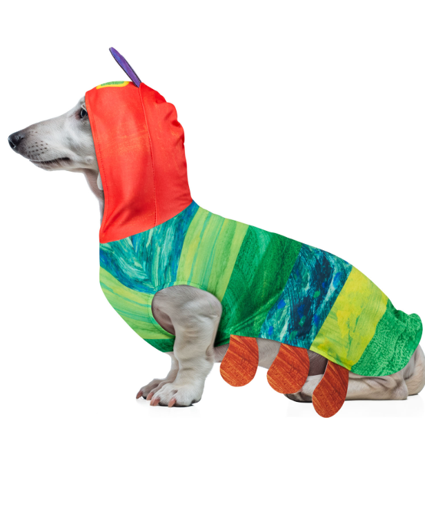Ruby Slippers Very Hungry Caterpillar Pet Costume Small