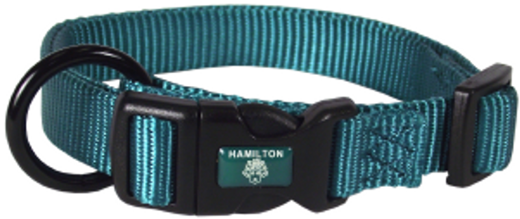 Hamilton Adjustable Dog Collar Teal 5/8" 12-18"