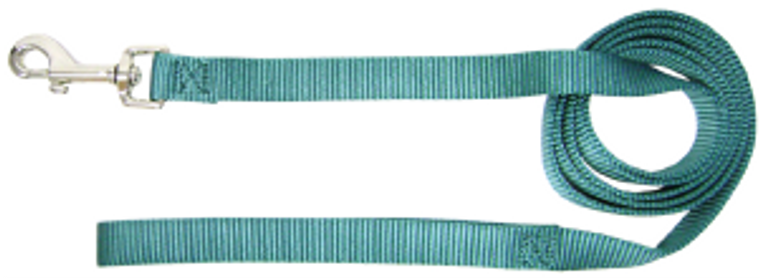 Hamilton Dog Lead Teal 1" 6'