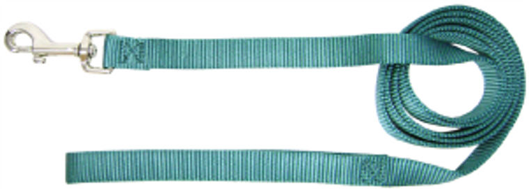 Hamilton Dog Lead Teal 5/8" 6'