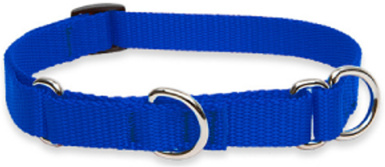 Lupine Combo Collar 3/4" 10-14 Blue