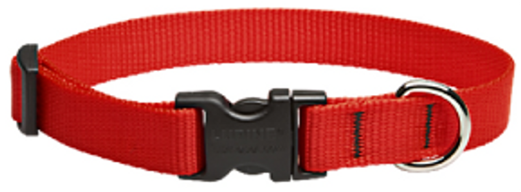 Lupine Collar Red 3/4"13-22