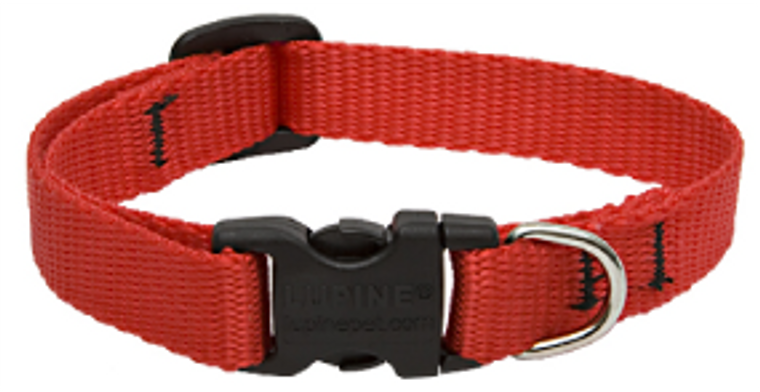 Lupine Collar Red 1/2" 10-16