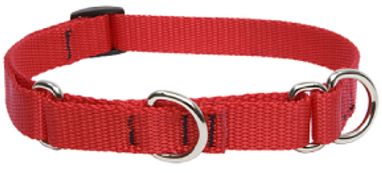 Lupine Combo Collar Red 1" 14-22