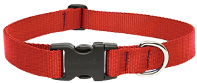 Lupine Collar Red 1" 12-20