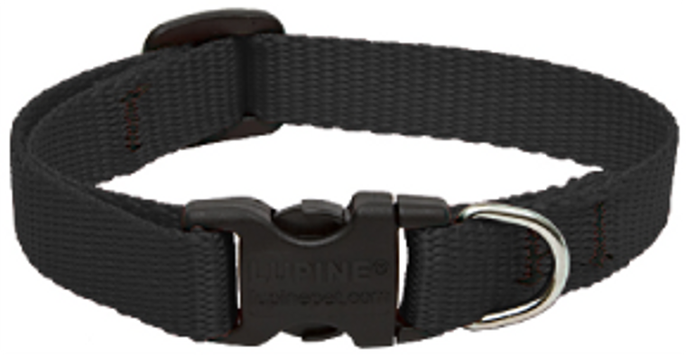 Lupine Collar Black Collar 1/2" 8-12