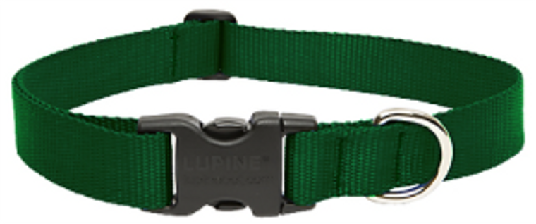 Lupine Collar Green 1" 16-28