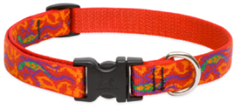 Lupine Collar Go Go Gecko 1" 12-20