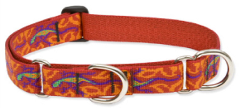 Lupine Combo Collar Go Go Gecko 1" 14-22